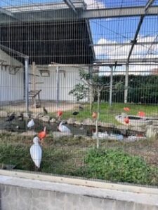 研修に参加しました🕊️