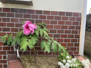 4月はお出かけ日和✨